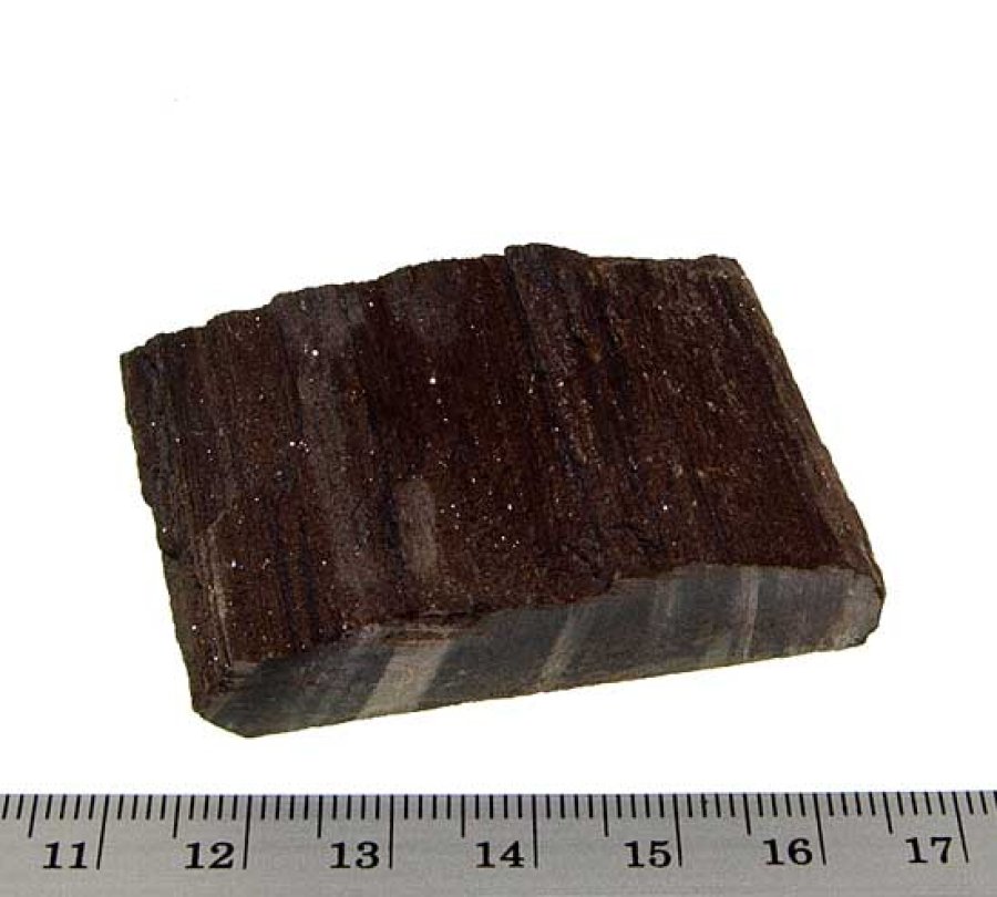 Fossiles Holz #2: B/T/H: 50/30/13 mm, Gewicht: 41 g